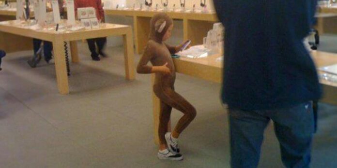 The Gay Little Monkey at the Apple Store: A history