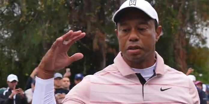 The Tiger Woods big dog meme goes big