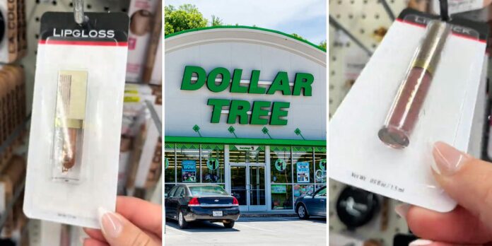 ‘Stila at dollar tree ?! What a time to be alive!’: Shopper says Dollar Tree is hiding prestige beauty products in plain packaging