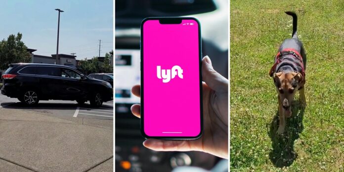 ‘Good for her’: Customer puts Lyft driver on blast for refusing service dog. Viewers side with the driver