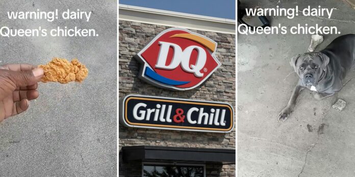 ‘It ain’t food anymore.’: Dairy Queen customer warns against chicken after his dog refuses to eat it