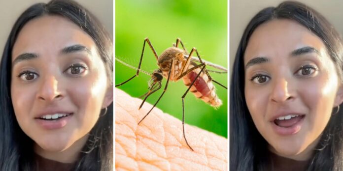 ‘There’s actually some science behind this’: Expert shares why you’re a magnet for mosquitoes