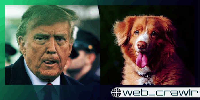 Newsletter: 🐶 Trump claims people are eating dogs during debate