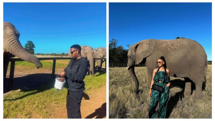 PHOTO: Mihlali Ndamase and her new boyfriend, Lesiba, seen feeding elephants while on vacation in Knysna