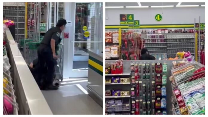 VIDEO:  Security guard beat up shoplifter who tried to steal things from Dollarama in Winnipeg