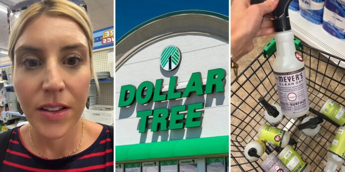 ‘Definitely gonna stock up’: Dollar Tree shopper shows $5 Mrs. Meyer’s products ringing up at $1.25