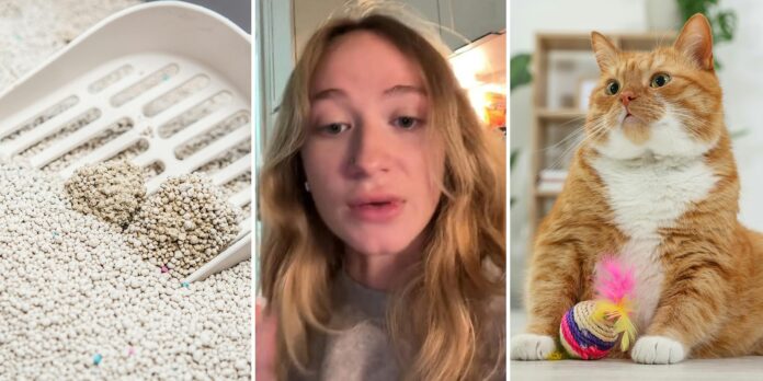 ‘They sell these at the Dollar Tree’: Woman’s trick to litter box odor is DampRid. Does it work? 