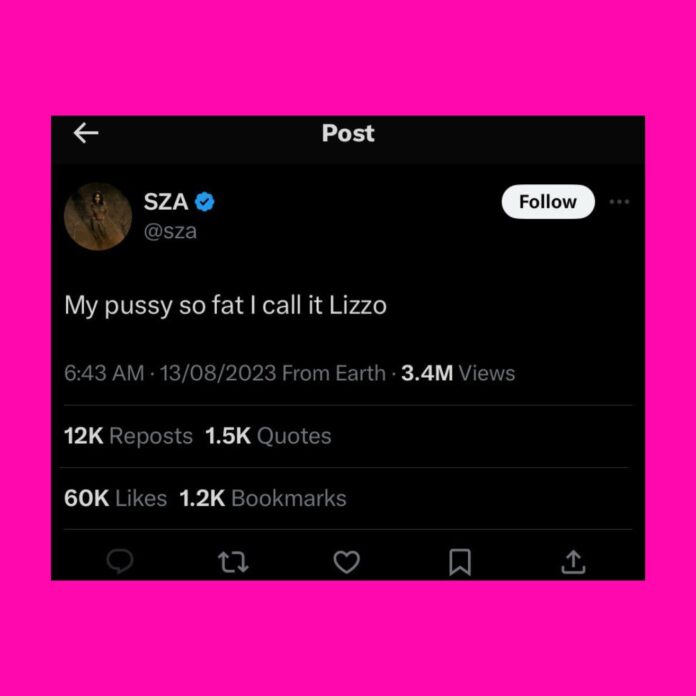 PHOTO: Outrage as SZA call her fat pussy Lizzo in trolling tweet from 13/08/2023